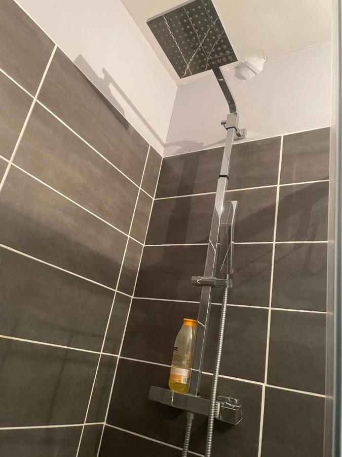 Appartement Rdc Calme En Hyper Centre-Ville Digoin Eksteriør billede